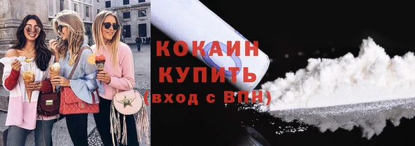 PSILOCYBIN Михайлов