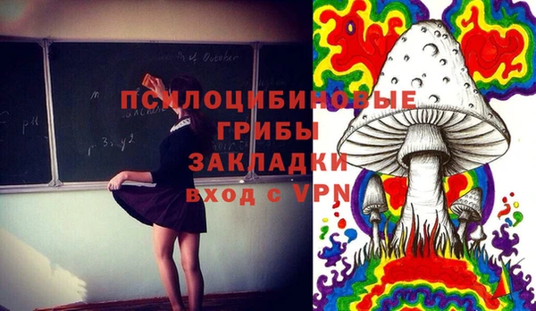 PSILOCYBIN Михайлов