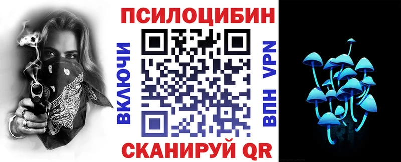 Галлюциногенные грибы Psilocybe  где купить наркоту  Майкоп 