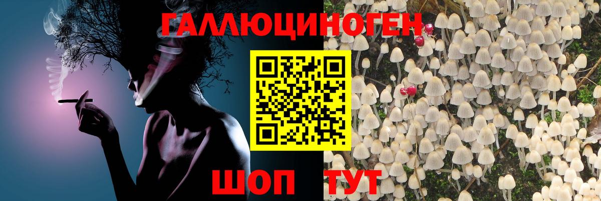 Майкоп  Псилоцибиновые грибы прущие грибы  где найти   Вход с VPN 